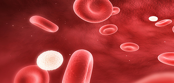 中国·88858cc永利(股份)有限公司-官方网站