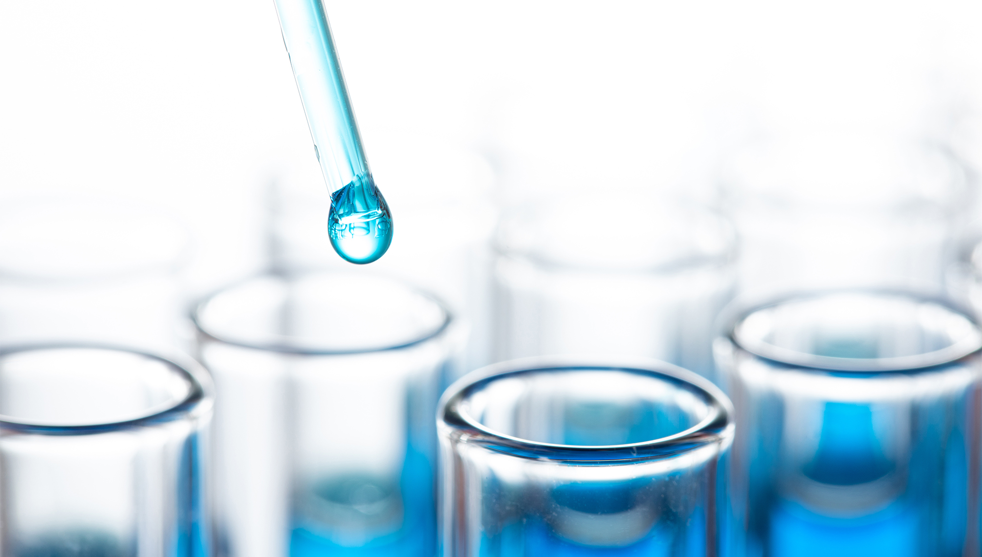 中国·88858cc永利(股份)有限公司-官方网站